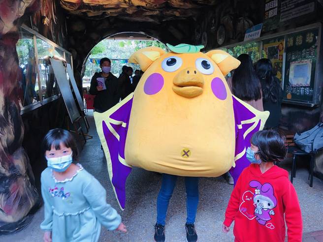 云林县水林乡黄金蝙蝠馆进行生态调查，盼厘清黄金蝙蝠减少原因。（张朝欣摄）