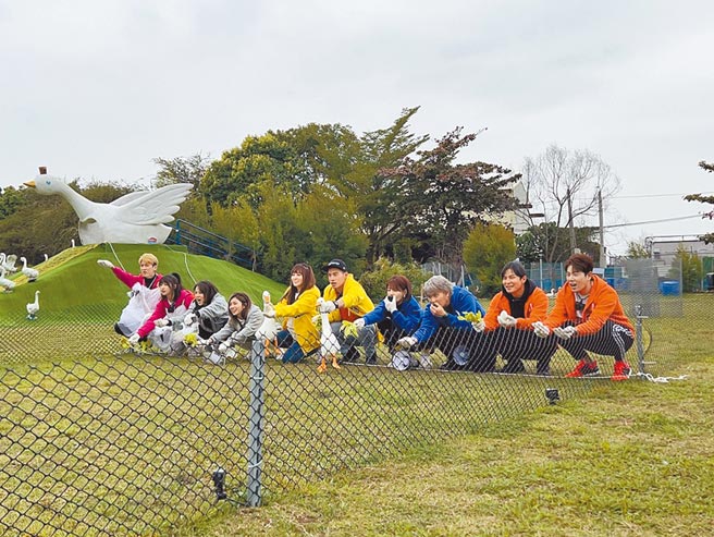 孫沁岳（左起）、峮峮、豆花妹、蘇晏霈、篠崎泫、許孟哲、徐小可、王仁甫、孫協志、余秉諺化身訓鵝師跪地學鵝叫拚過關。（中視提供）