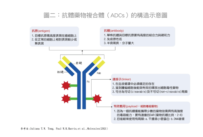 (图/常春月刊提供)