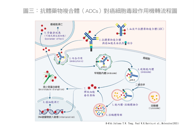 (图/常春月刊提供)