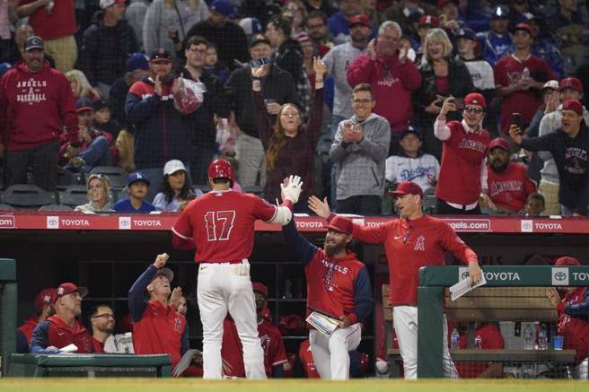 天使队大谷翔平(左)轰出全垒打，与队友击掌。（美联社） 