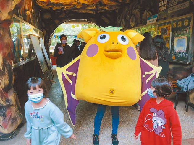 雲林縣水林鄉黃金蝙蝠館進行生態調查，盼釐清黃金蝙蝠減少原因，並藉由「兒童節生物多樣性環教宣導」活動，讓更多人關注蝙蝠生態。（張朝欣攝）