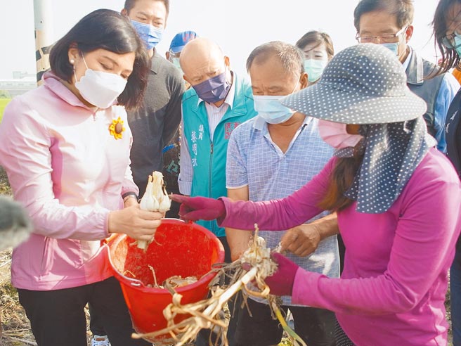 云林县蒜头灾损严重，云林县长张丽善（左）呼吁中央依栽种证明核发救助金。（张朝欣摄）