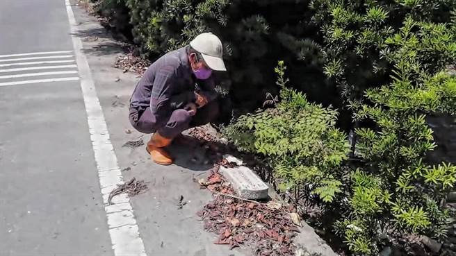 民俗专家黄敏男认为，应该是「捡金」后厂商将废弃墓碑载运丢弃时掉落，表示这对后代子孙并无影响，建议公所直接处理即可。(村长提供／吴建辉彰化传真)