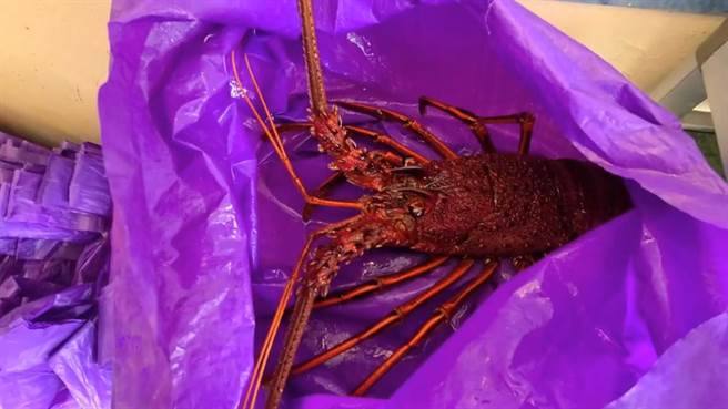 店家表示都会现场秤重给客人看，还会扣掉袋子的重量。(吴佩蓉摄)