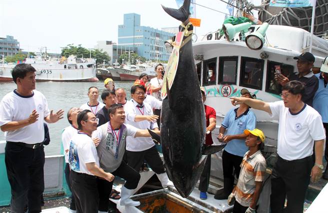 2022屏东第一鲔传来鱼汛，东港区渔会6日上午将启动验鱼。(本报资料照片)