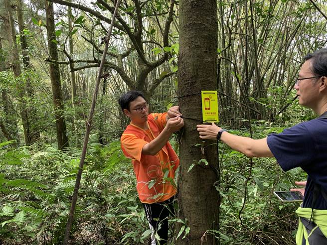 登山讯号不漏接！新北市府在热门登山步道设置手机可通讯标示牌。（新北市观旅局提供）