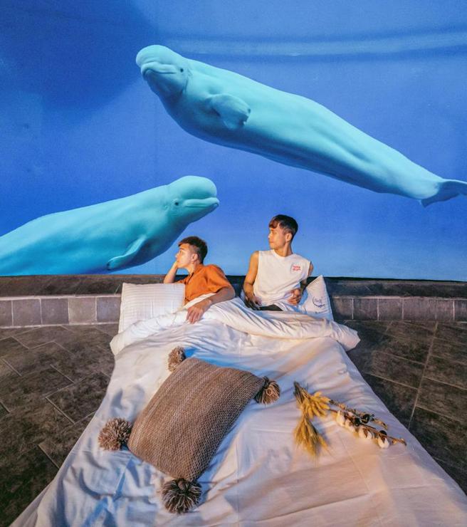 （屏東車城海生館「網美攝影夜宿體驗營」活動將於4/23日舉辦。圖／海景世界提供）