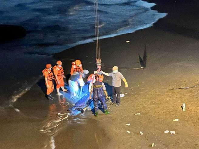 海巡署第六巡防区指挥部6日凌晨1时许接获民眾报案，指在高雄弥陀漯底海堤沙滩发现鲸豚搁浅。海巡署第一一岸巡队弥陀安检所及国立成功大学鲸豚研究中心共同救援。（海巡署提供／林瑞益高雄传真）