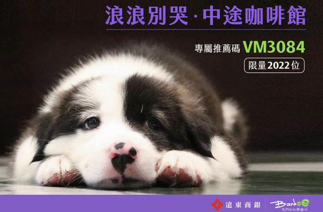 （远东商银Bankee社群银行与「浪浪别哭中途咖啡馆」社会企业合作，邀请民眾一同化身亲善大使。图／远东商银提供）