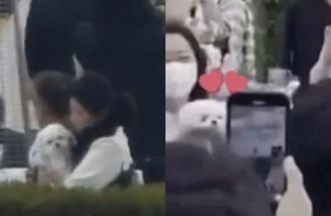 网友发现孙艺真结婚当年，爱犬「Kitty」也在场。（图／翻摄自《theqoo》韩网）