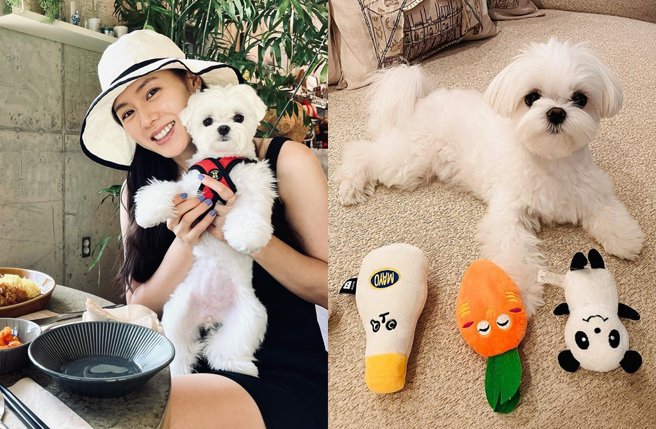 孙艺真平时就常晒「Kitty」的近照。（图／翻摄自yejinhand IG