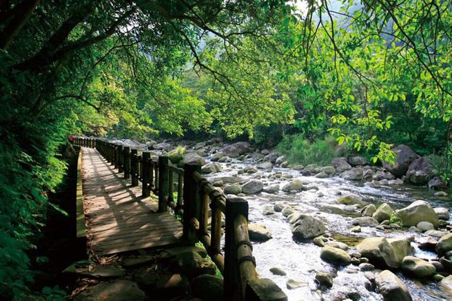 台灣觀巴遊程，持國旅券限時搶購買一送一。（圖／參山國家風景區管理處提供）