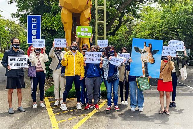 六福村欲再引进4只长颈鹿，动保团体在六福村大门外抗议。（罗浚滨摄）
