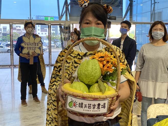 嘉义市农友展示有机栽种的芭乐。（廖素慧摄）