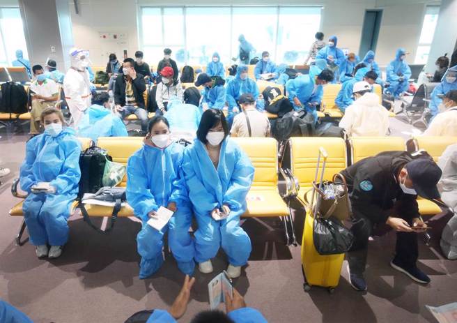 在桃园机场入境管制区内，一群刚下机的越籍移工准备落地筛检。（范扬光摄）
