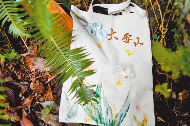 大雪山国家森林游乐区提供免费「蕨」对精彩导览，还有DIY蕨类拓印创意提袋。（东势林管处提供／陈淑娥台中传真）