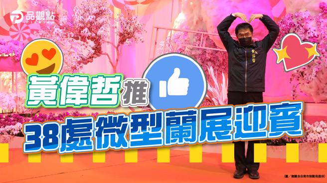 品觀點｜台灣國際蘭展閉幕  接力「遍地開花」再現蘭花之美(圖/品觀點)
