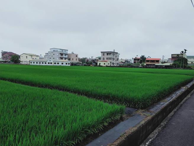 （专业地政士建议，长辈财产分配最好即早规划，以「传爱」不「传碍」。图／业者提供）