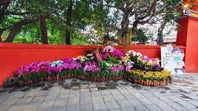 台南市政府在全市38處地點布置微型蘭展。圖為台南孔廟大成坊旁的微型蘭展。（市府提供／洪榮志台南傳真）