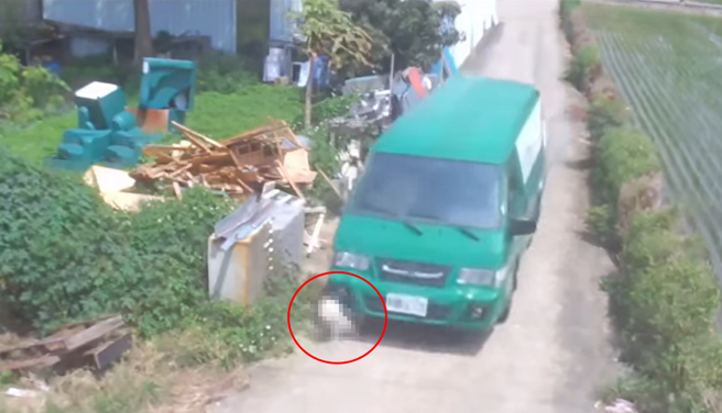 有名網友表示公司的小狗被郵務車壓到，郵差僅回應小狗自行跑來撞車。（翻攝自爆料公社二社）