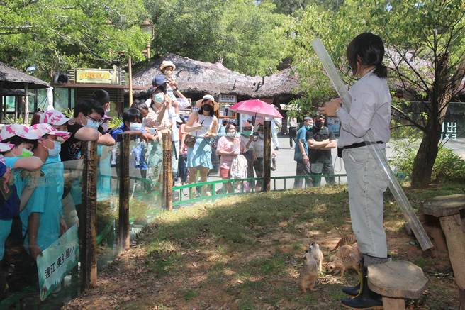 六福村圓夢公益日提供遠從269公里外飛來的馬祖東引國小免費入園體驗，專業環教老師向學童說明環境教育及動物保育的重要性。（六福村提供／羅浚濱新竹傳真）