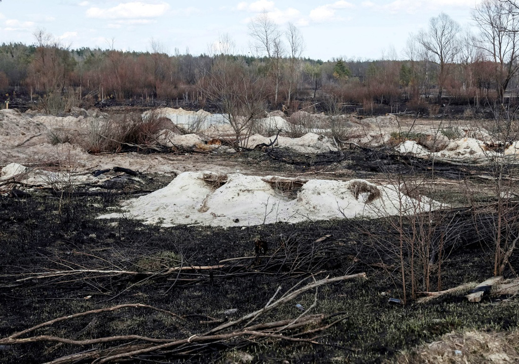 俄罗斯军队在乌克兰车诺比辐射禁区「红色森林」（Red Forest）挖战壕。 （图／路透社）