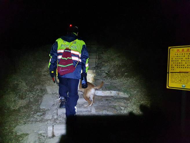 花莲县警局新城警分局合欢派出所所犬「多多」，日前发挥夜视能力充当员警深夜之眼，带领大家在最短时间救援失温登山客，立下大功。（新城警分局提供／罗亦晽花莲传真）