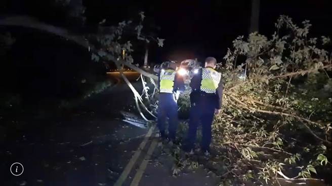 和平区达观里东崎路发生树木倒塌阻断双向通行，员警挽袖锯木移开路树后恢復通行。（警方提供／陈淑娥台中传真）