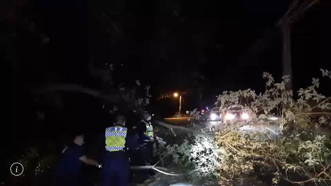 和平区达观里东崎路发生树木倒塌阻断双向通行，员警挽袖锯木移开路树后恢復通行。（警方提供／陈淑娥台中传真）