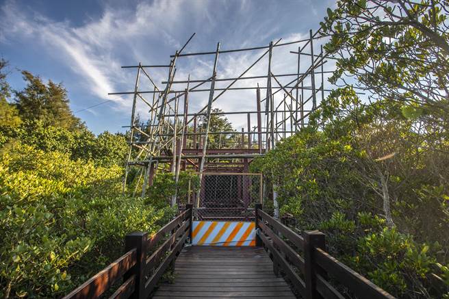 新豐紅樹林景觀涼亭拆除，發生廠商進口木料未通過防焰檢測爭議，縣府將待新竹地院民事判決後再辦。（羅浚濱攝）