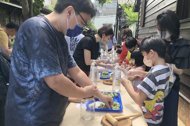 蕭如松藝術園區舉辦「梅飛澀舞」醃脆梅活動，親子拿到梅果動手挑蒂。（羅浚濱攝）