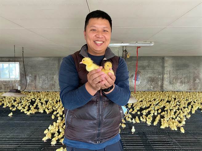 养鸭青农王昭宇却在全台鸭荒中崭露专业养鸭技术，丝毫不受影响，高雄及中部地区近7成的鸭肉来自于他的繁殖场，全因他选择科技养鸭，成功闯出一片天。（柯宗纬翻摄）