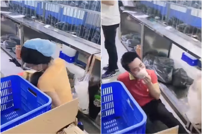 有間製鞋工廠,1名越南女子和男子在打鬧,突然就把男子的頭抓來撞胸部,害男子臉紅又害羞。(翻攝自爆廢公社)