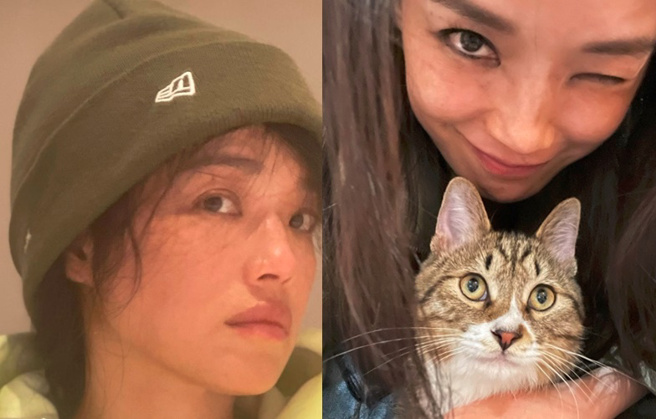 舒淇爱猫成痴，被粉丝好奇问：「琪琪到底有几只猫呢？」（图／取自舒淇IG）