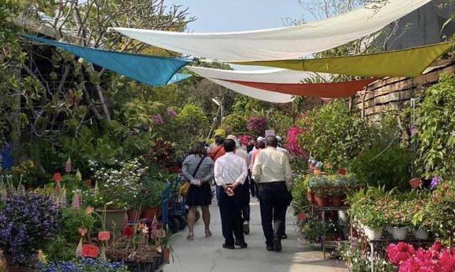 左化鹏》与「医生画家」畅游花花世界。（照片来源：作者提供）