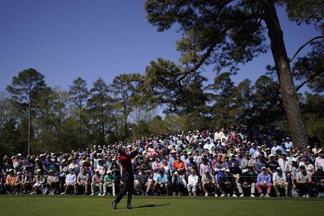 老虎伍兹成功打完美国名人赛，排名第47。（美联社）