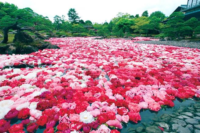 春遊日本島根必玩！山陰最大規模「由志園」萬株牡丹池好吸睛- 生活- 中