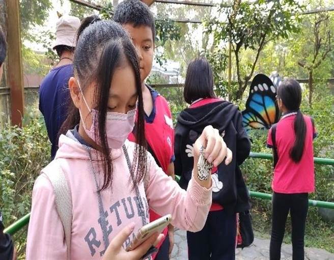 嘉义县大崙国小长期推动阅读，并以「阅蝶」为图像，藉由「阅蝶小达人˙阅动翻心田」课程，培养学生专题探究能力，进而获阅读磐石奖。（嘉义县政府提供／吕妍庭嘉义传真）