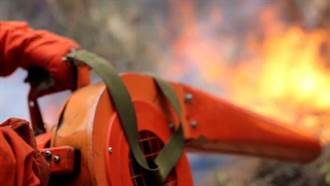 陸所有省分15日起進入防火期 森林消防1.9萬人應對挑戰