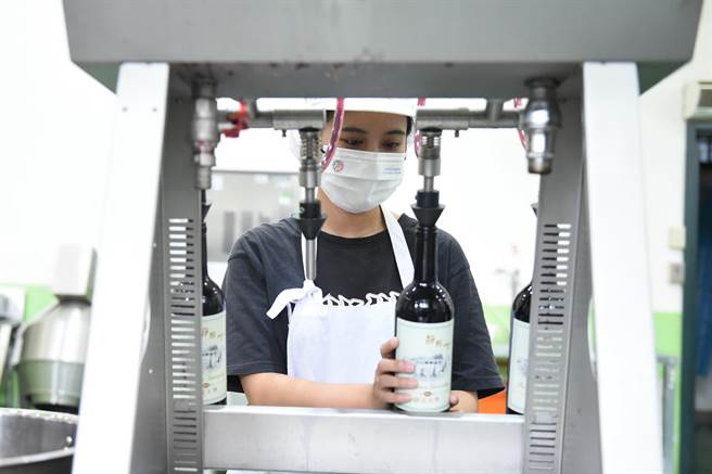 静宜食营系搭配实作、竞赛、毕业专题及成果展等训练，未来毕业出路多元且宽广，也始终位居热门系所。（静宜大学提供）