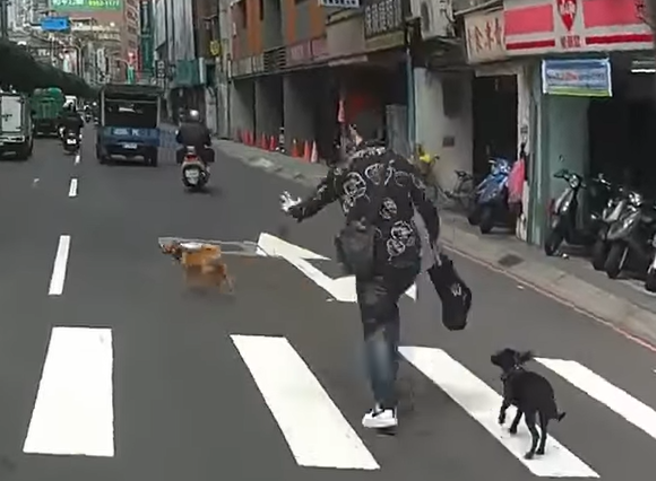 一名男子7日不顾生命危险，在马路上追逐牵绳松落的狗。（翻摄自脸书《八卦村 - 行车纪录器影片上传中心》）