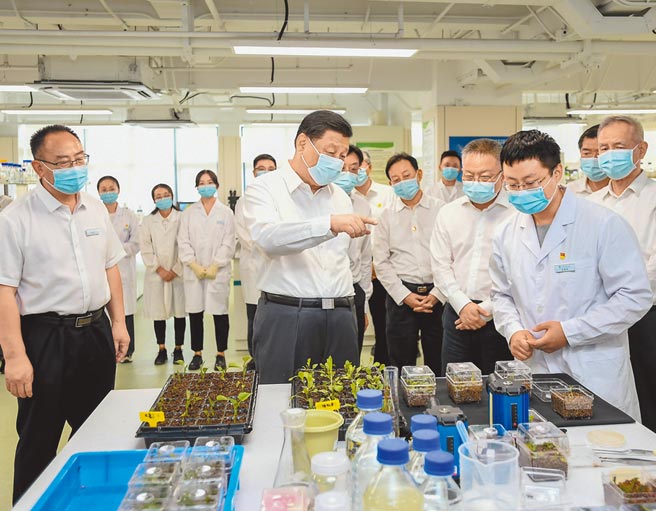 中共總書記習近平10日赴海南省三亞市考察崖州灣種子實驗室，強調要攥緊中國種子，端穩中國飯碗。（新華社）