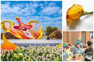 2022桃園彩色海芋季 進倒數 賞花兼打疫苗送海芋