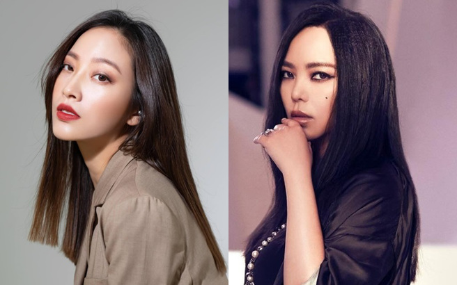 陈薇（左）分享抢到张惠妹（右）演唱会门票的消息。（图／张惠妹、陈薇Facebook）