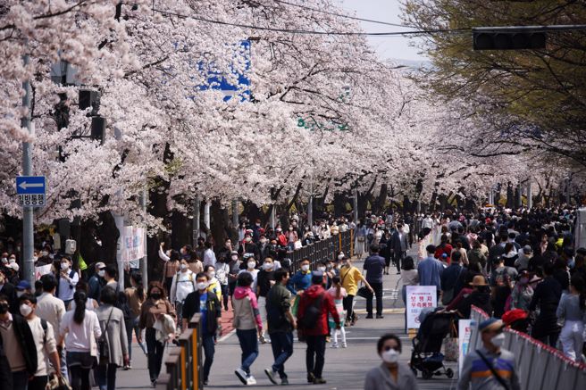 韓國境內估計難以達到讓COVID-19絕跡的集體免疫。(圖／路透社)