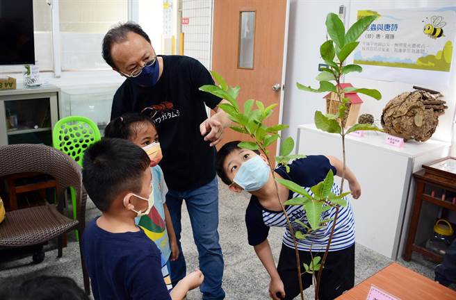 民生国小总务主任陈文德（后）带来昆虫收藏，为学校学生亲上亲歷实境的自然课。（林和生摄）