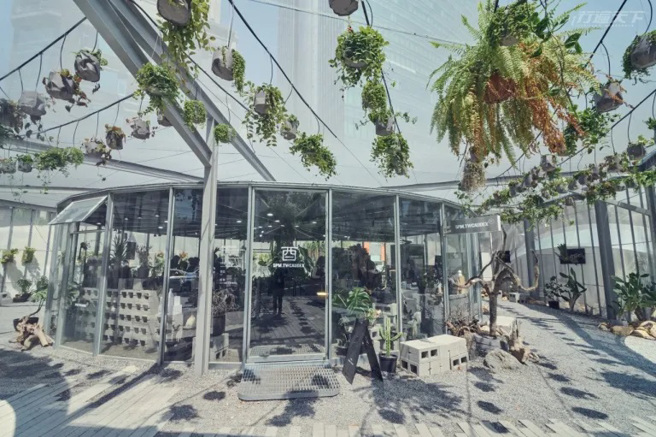 PARK2里头最耀眼的解忧绿洲地点，钻入里头总能找到适合自己的那片绿植栽。(图/行遍天下)