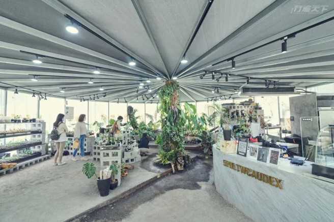 进入酉5PM TWCAUDEX的空间内，连空气都感觉到舒心气息。(图/行遍天下)