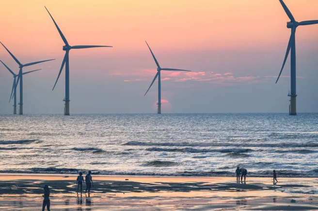 ▲滨海森林游憩区。（图片提供：火花罗）